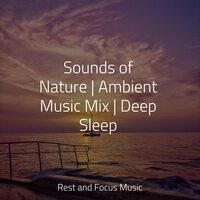 Sounds of Nature | Ambient Music Mix | Deep Sleep