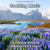 Soothing Music for Sleeping, Relaxing, Reading, Cats & Dogs