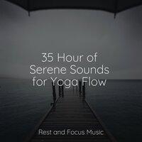 35 Hour of Serene Sounds for Yoga Flow