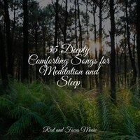 35 Deeply Comforting Songs for Meditation and Sleep