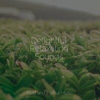 Delightful Relaxation Sounds