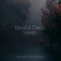 Blissful Deep Sleep