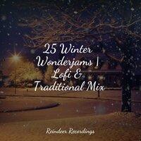 25 Winter Wonderjams | Lofi & Traditional Mix