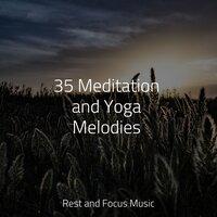 35 Meditation and Yoga Melodies