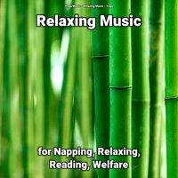 Relaxing Music for Napping, Relaxing, Reading, Welfare