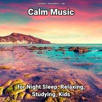 Calm Music for Night Sleep, Relaxing, Studying, Kids