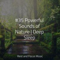 #35 Powerful Sounds of Nature | Deep Sleep