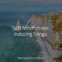 Soft Mindfulness Inducing Songs