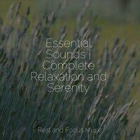 Essential Sounds | Complete Relaxation and Serenity