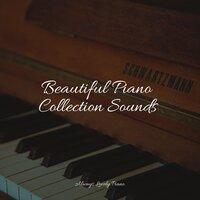 Beautiful Piano Collection Sounds
