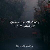 Relaxation Melodies | Mindfulness