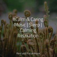 #Calm & Caring Music | Sleep | Calming Relaxation