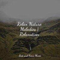 Relax Nature Melodies | Relaxation