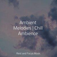 Ambient Melodies | Chill Ambience