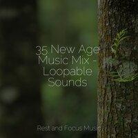 35 New Age Music Mix - Loopable Sounds