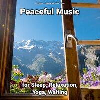 Peaceful Music for Sleep, Relaxation, Yoga, Waiting