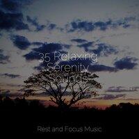 35 Relaxing Serenity Sounds