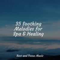 35 Soothing Melodies for Spa & Healing