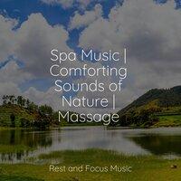 Spa Music | Comforting Sounds of Nature | Massage