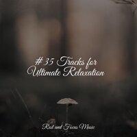 #35 Tracks for Ultimate Relaxation