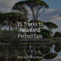 35 Tracks to Relax and Perfect Spa
