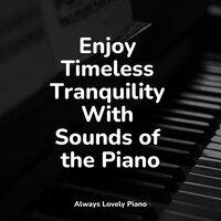 Enjoy Timeless Tranquility With Sounds of the Piano