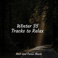 Winter 35 Tracks to Relax