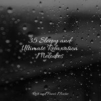 35 Sleepy and Ultimate Relaxation Melodies