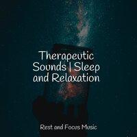 Therapeutic Sounds | Sleep and Relaxation
