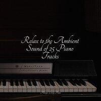 Relax to the Ambient Sound of 25 Piano Tracks