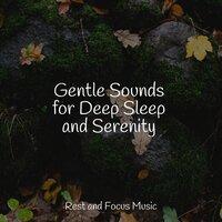 Gentle Sounds for Deep Sleep and Serenity