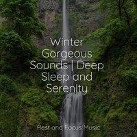 Winter Gorgeous Sounds | Deep Sleep and Serenity