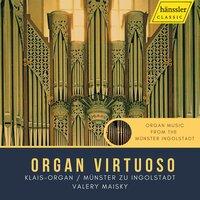 Organ Virtuoso: Organ Music from the Münster Ingolstadt
