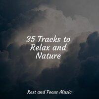 35 Tracks to Relax and Nature