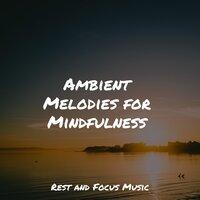 Ambient Melodies for Mindfulness