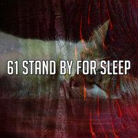 61 Stand By For Sleep