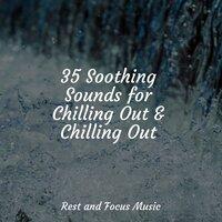 35 Soothing Sounds for Chilling Out & Chilling Out