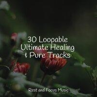 30 Loopable Ultimate Healing & Pure Tracks
