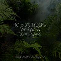 40 Soft Tracks for Spa & Wellness