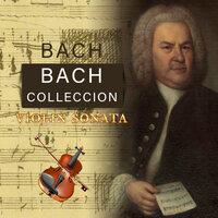 Bach Colleccion, Violin Sonata