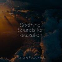 Soothing Sounds for Relaxation