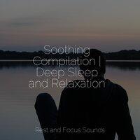 Soothing Compilation | Deep Sleep and Relaxation