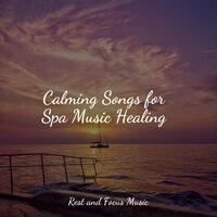 Calming Songs for Spa Music Healing
