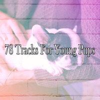 78 треков для щенков
