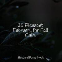 35 Pleasant February for Fall Calm