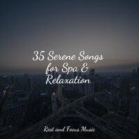 35 Serene Songs for Spa & Relaxation