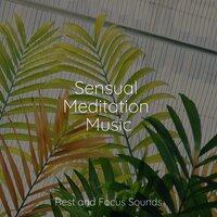 Sensual Meditation Music