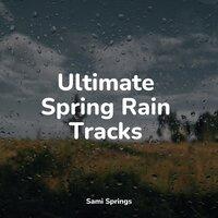 Ultimate Spring Rain Tracks