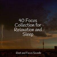 40 Focus Collection for Relaxation and Sleep