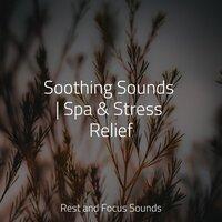 Soothing Sounds | Spa & Stress Relief